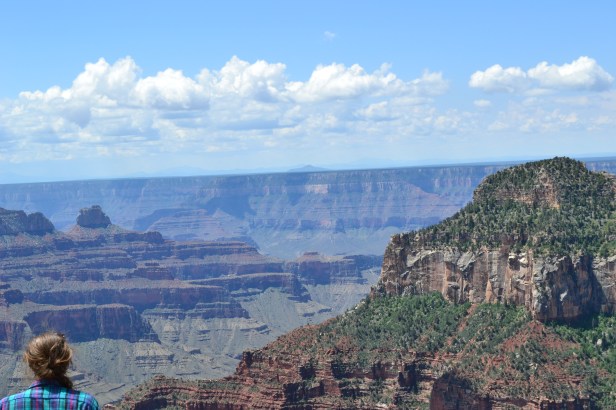 On the North Rim of the Grand Canyon. 