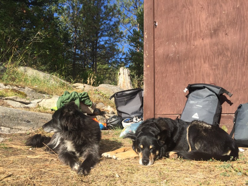 T.J. and Slade hanging out in the sun with our bike bags. 